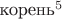 $\text{корень}^5$