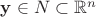 $\mathbf y \in N\subset \mathbb R^n$