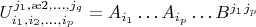 $U_{i_1,i_2,\dots,i_p}^{j_1,\j2,\dots,j_q} = A_{i_1}\dots A_{i_p}\dots B^{j_1}\dotsB^{j_p}$