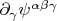 $\partial_\gamma\psi^{\alpha\beta\gamma}$
