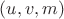 $(u,v,m)$