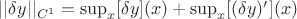 $||\delta y||_{C^1} = \sup_{x}[\delta y](x) + \sup_{x}[(\delta y)'](x)$