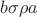 $b\sigma\rho a$