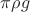 $\pi \rho g$