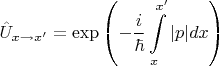 $$\hat{U}_{x \rightarrow x'} = \exp\left( -\frac{i}{\hbar} \int \limits_{x}^{x'} |p| dx \right)$$