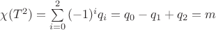 $\[
\chi (T^2 ) = \sum\limits_{i = 0}^2 {( - 1)^i q_i }  = q_0  - q_1  + q_2  = m
\]
$