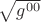 $\sqrt{g^{00}}$