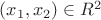$(x_1, x_2) \in R^2$