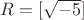 $R = \Z[\sqrt{-5}]$
