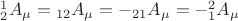 ${}_2^1 A_\mu   = {}_{12}A_\mu   =  - {}_{21}A_\mu   =  - {}_1^2 A_\mu  $