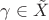 $\gamma\in\tilde{X}$