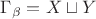 $\Gamma_\beta = X \sqcup Y$