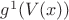 $g^1(V(x))$