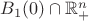 $B_{1}(0) \cap \mathbb{R}^n_+$