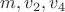 $m,v_2,v_4$