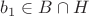 $b_1 \in B \cap H$