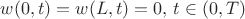 $w(0,t) = w(L,t) = 0, \, t \in (0,T)$