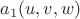 $a_1(u,v,w)$