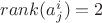 $rank (a^i_j)=2$