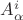 $A_{\alpha}^i$