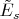 $\tilde {E}_s$