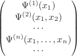 $$\begin{pmatrix}
\Psi^{(1)}(x_1) \\
\Psi^{(2)}(x_1,x_2) \\
\cdots\\
\Psi^{(n)}(x_1,\dots,x_n) \\
\cdots\\
\end{pmatrix}
$$