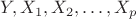 ${\displaystyle Y,X_{1},X_{2},\ldots ,X_{p}} $