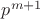 $p^{m+1}$