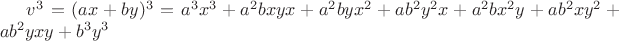 $v^3=(ax+by)^3=a^3x^3+a^2bxyx+a^2byx^2+ab^2y^2x+a^2bx^2y+ab^2xy^2+ab^2yxy+b^3y^3$