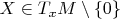 $X \in T_x M \setminus \{0\}$