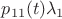 $p_{11}(t)\lambda_{1}$