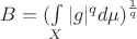$B = (\int\limits_{X} |g|^q d\mu)^\frac1q$