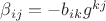 $\beta_{ij} = -b_{ik}g^{kj}$