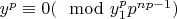 $y^p\equiv0(\mod y_1^p p^{np-1})$