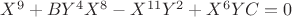 $АX^9+BY^4X^8-X^{11}Y^2+X^6YC=0$