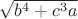 $\sqrt{b^4+{c^3}a}$