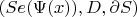 $(Se(\Psi(x)),D, \partial S)$