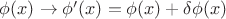 $\phi(x) \rightarrow \phi'(x) = \phi(x) + \delta\phi(x)$
