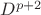 $D^{p+2}$