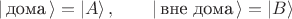 $$| \, \text{дома} \, \rangle = |A\rangle \, , \qquad | \, \text{вне дома} \, \rangle = |B\rangle $$
