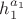 $h_{1}^{a_{1}}$