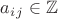 $a_i_j  \in \mathbb{Z}$