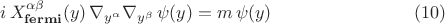 $$
i \, X^{\alpha \beta}_{\bf fermi} (y) \, \nabla_{y^{\alpha}} \nabla_{y^{\beta}} \, \psi(y) = m \, \psi(y) \eqno(10)
$$
