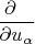 $\dfrac{\partial \ \ }{\partial u_\alpha}$