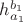 $h_{a_1}^{b_1}$