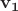 ${\bf v_1}$