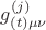$g^{(j)}_{(t) \mu \nu}$