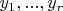 $y_1,...,y_r$