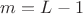 $m = L-1$