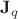 $\bold J_q$